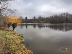 Prodej rybníku v katastru obce Nové Pole - Studená, plocha 31 041 m2, okres Jindřichův Hradec